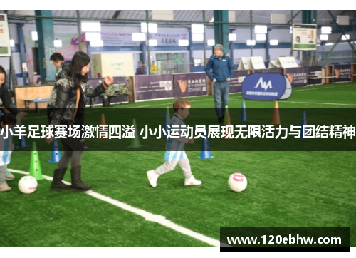 小羊足球赛场激情四溢 小小运动员展现无限活力与团结精神