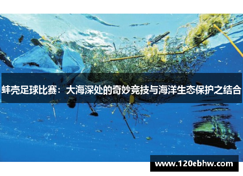 蚌壳足球比赛：大海深处的奇妙竞技与海洋生态保护之结合